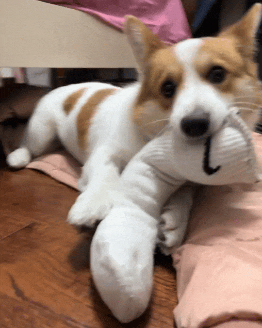 了!几千欧的东西说用就用不朽情缘网站也是好起来(图18) 了!几千欧的东西说用就用不朽情缘网站也是好起来(图18)